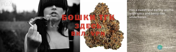 твердый Нея