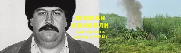 твердый Нея