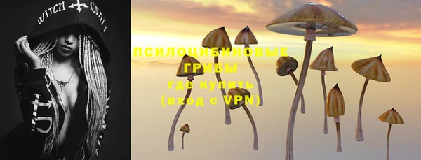 2c-b Пикалёво