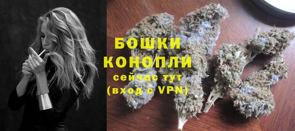 ГАЛЛЮЦИНОГЕННЫЕ ГРИБЫ Надым