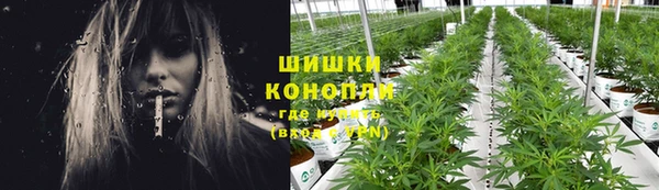 ГАЛЛЮЦИНОГЕННЫЕ ГРИБЫ Надым