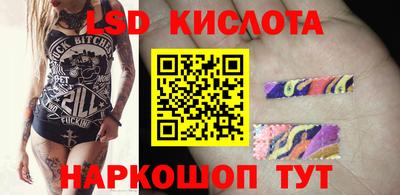 a pvp Камышлов