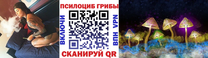 Псилоцибиновые грибы Psilocybe Пятигорск