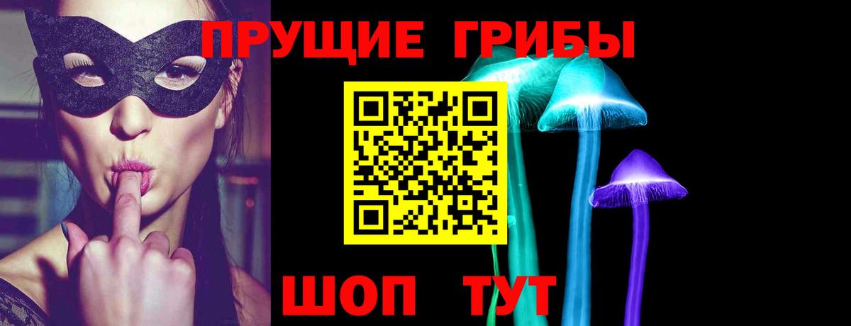 Пятигорск  купить  цена  Вход с VPN  Псилоцибиновые грибы MAGIC MUSHROOMS 