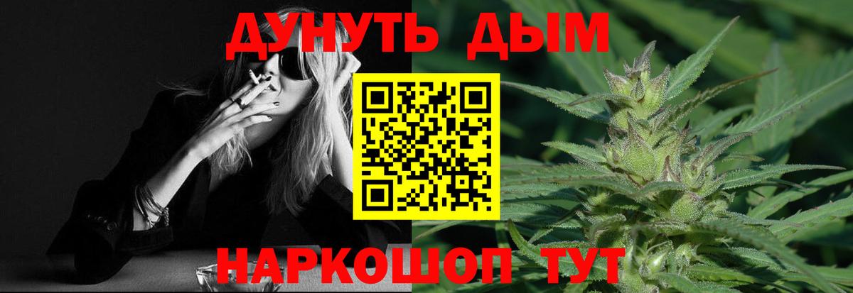 Бошки Шишки Amnesia  Марихуана план  Пятигорск  Каннабис SATIVA & INDICA  Вход с VPN 